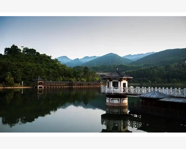 穴位调理脾胃，中医的智慧守护身体健康